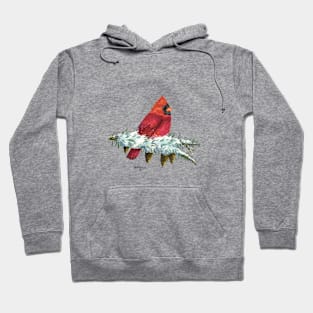 Scarlet Delight Hoodie